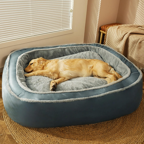 Pet Beds: A Cozy Sanctuary for Your Furry Friend