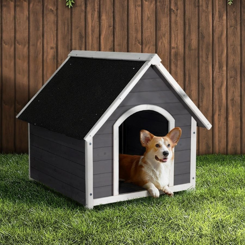 A Safe Haven: Pet Kennels for Your Furry Friend