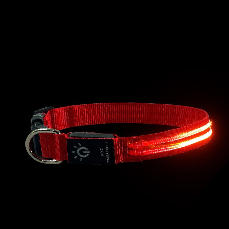 LED Pet Collar Waterproof Lighting