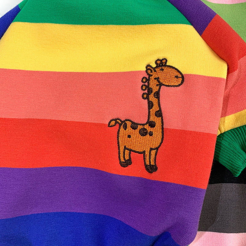 Rainbow Pet Clothing Velvet