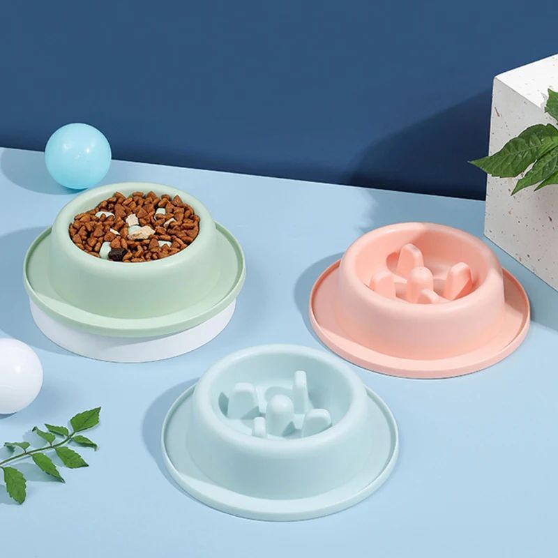 Dog Feeding Food Bowls