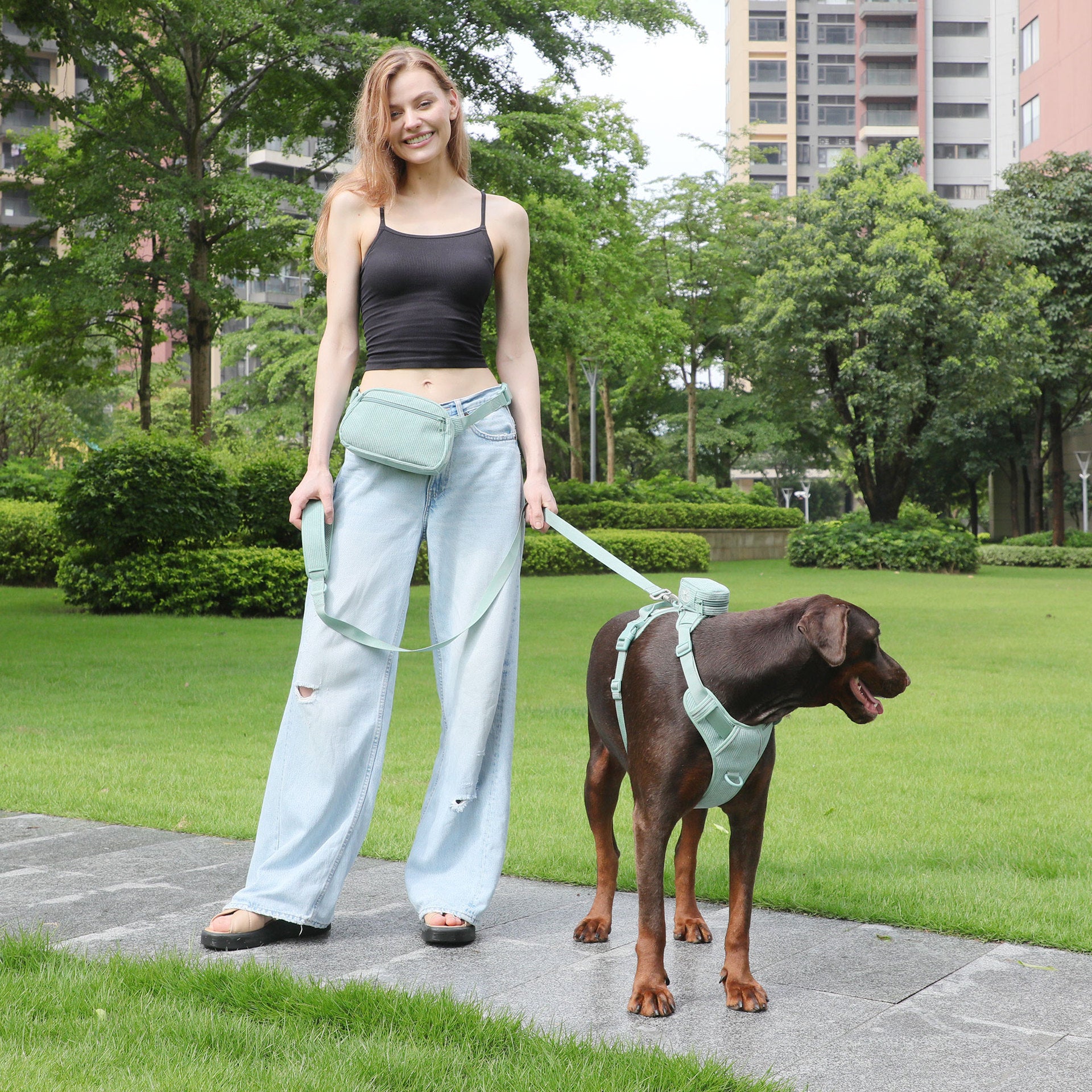 Pet Collar Explosion-proof Dog Vest
