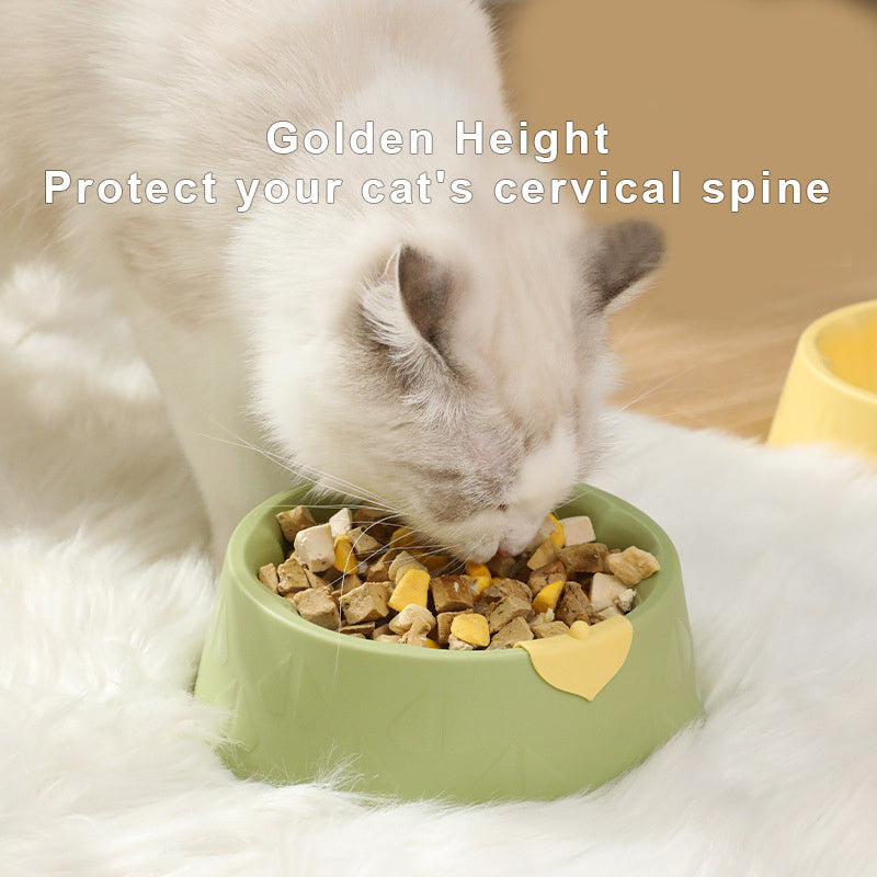 Plastic Pet Bowl Dish