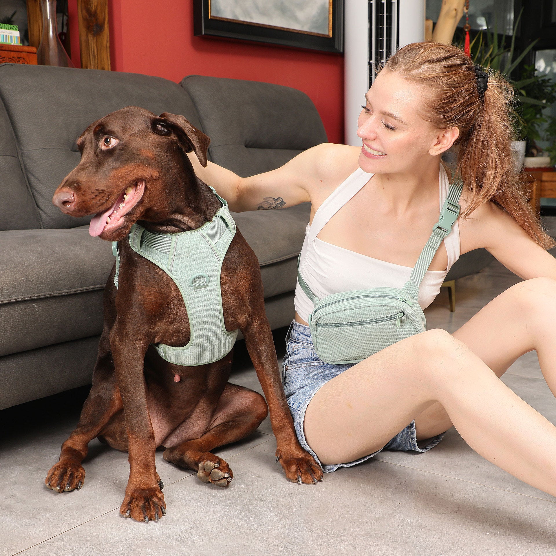Pet Collar Explosion-proof Dog Vest