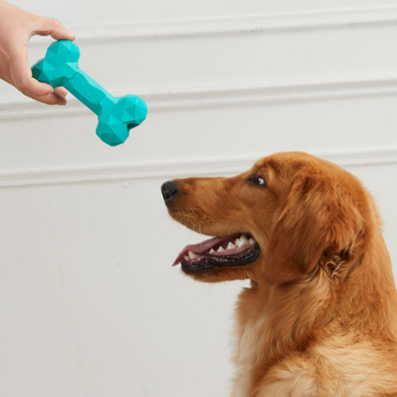 Pet Dog Teeth Grinding Bite