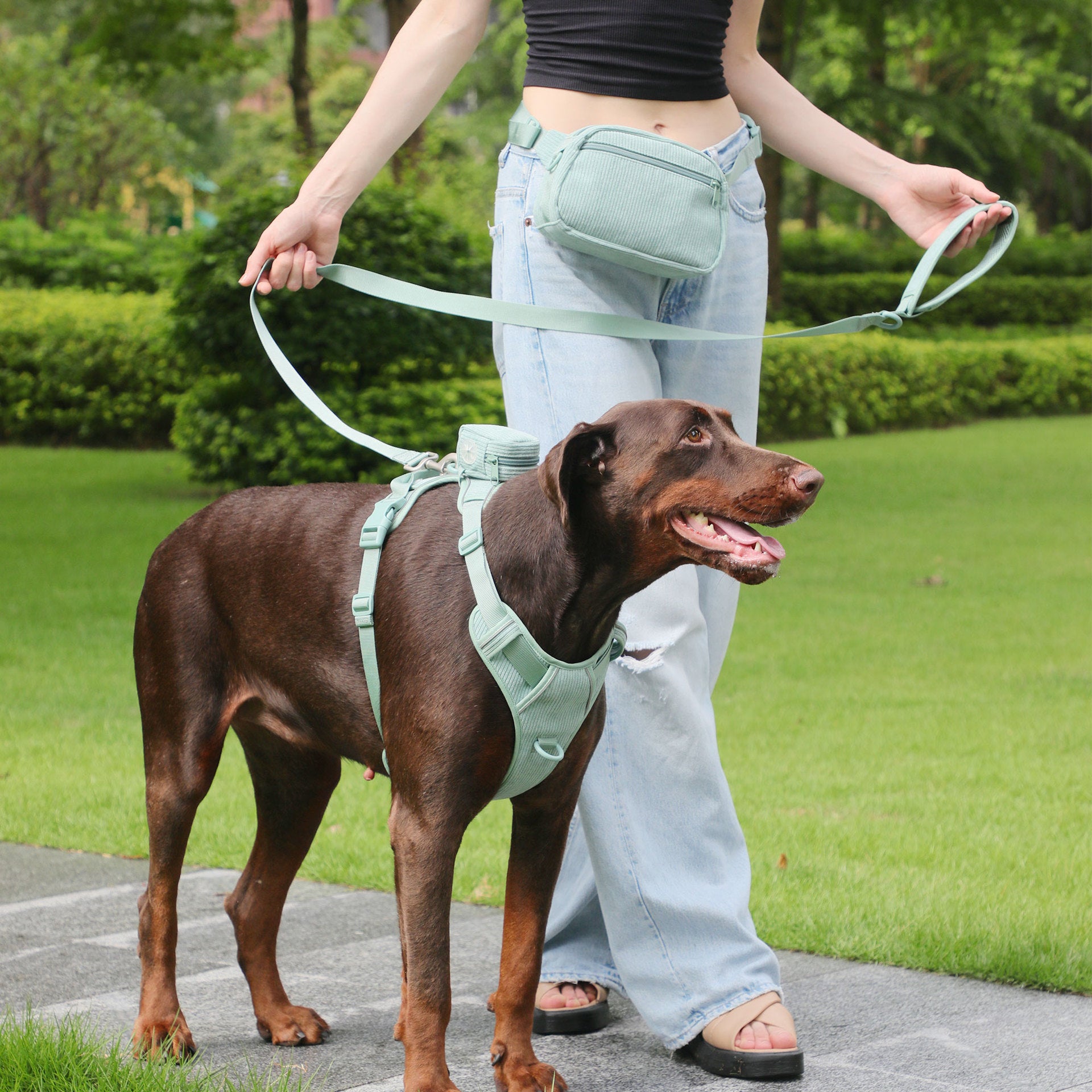 Pet Collar Explosion-proof Dog Vest