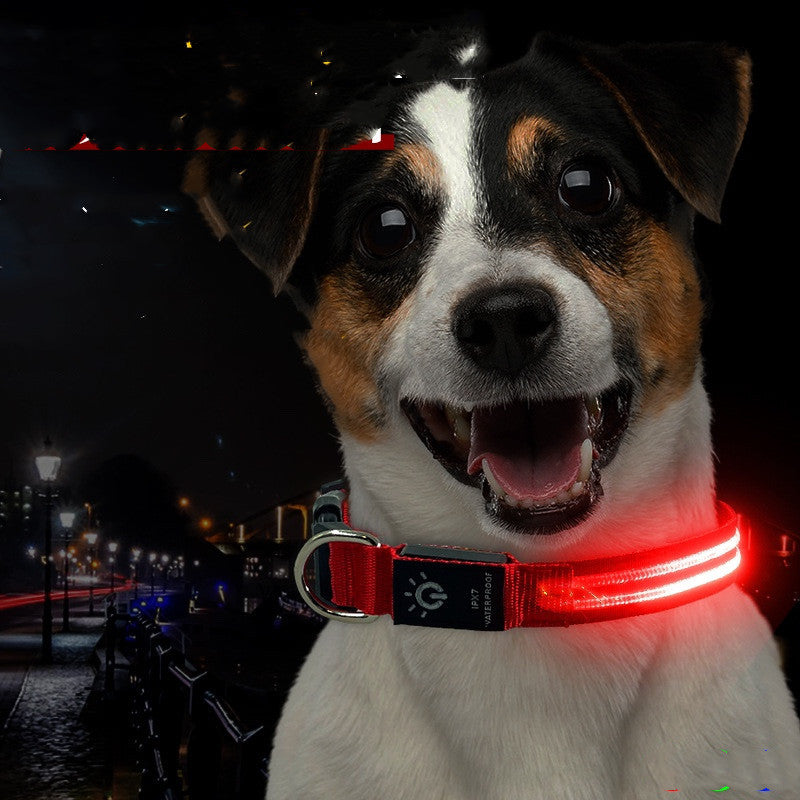 LED Pet Collar Waterproof Lighting