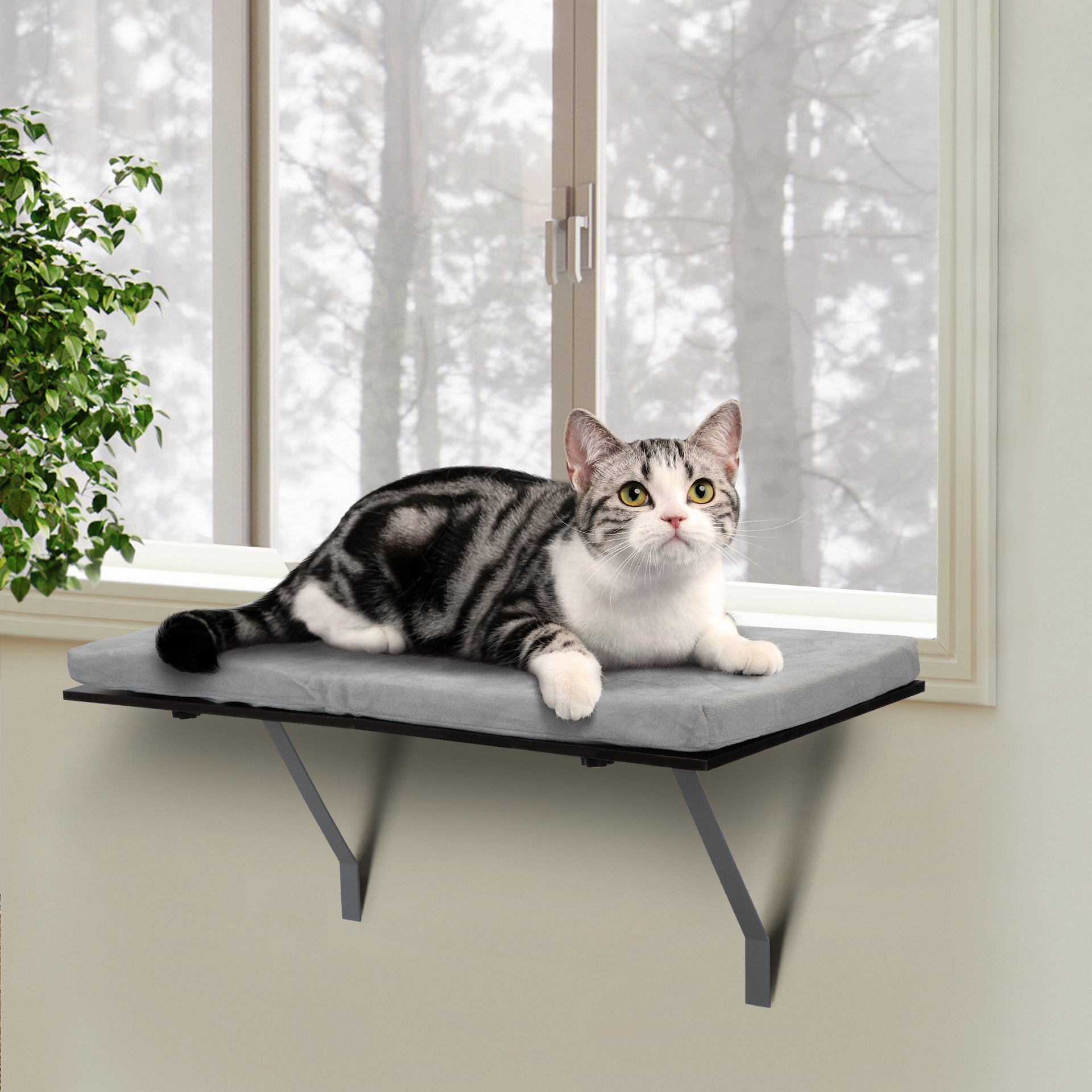 Cat Window Style Shelving Bed