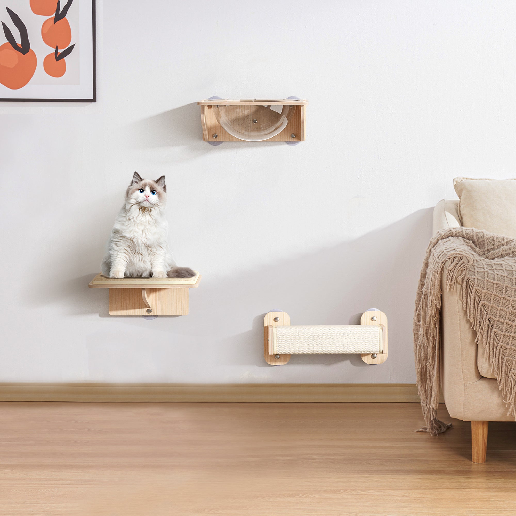 3 Pieces Of Cat Wall Furniture With Capsule Bed
